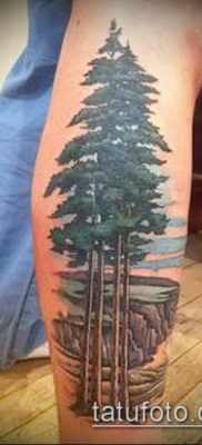 фото тату ель (tattoo spruce) (значение) — пример рисунка — 068 tatufoto.com