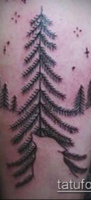 фото тату ель (tattoo spruce) (значение) — пример рисунка — 078 tatufoto.com