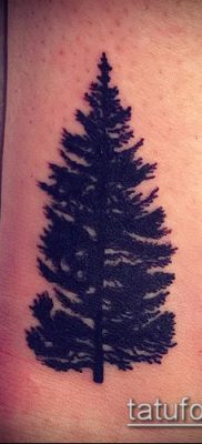 фото тату ель (tattoo spruce) (значение) — пример рисунка — 084 tatufoto.com