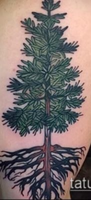 фото тату ель (tattoo spruce) (значение) — пример рисунка — 086 tatufoto.com