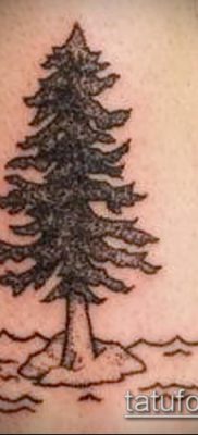 фото тату ель (tattoo spruce) (значение) — пример рисунка — 087 tatufoto.com