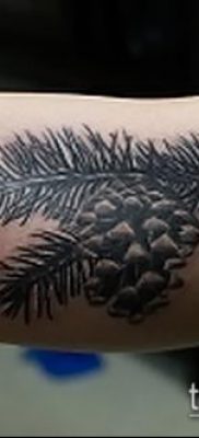 фото тату ель (tattoo spruce) (значение) — пример рисунка — 089 tatufoto.com