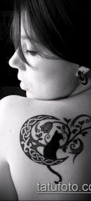 фото тату кот (значение) — пример интересного рисунка тату — 008 tatufoto.com