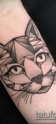 фото тату кот (значение) — пример интересного рисунка тату — 015 tatufoto.com