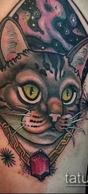 фото тату кот (значение) — пример интересного рисунка тату — 030 tatufoto.com