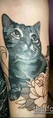 фото тату кот (значение) — пример интересного рисунка тату — 035 tatufoto.com