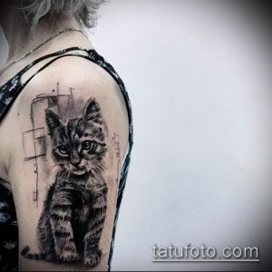 Фото реалистичной татуировки котенка на плече. Детализированный рисунок татуировки с использованием оттенков серого и черного.