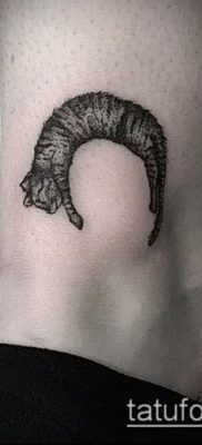 фото тату кот (значение) — пример интересного рисунка тату — 048 tatufoto.com
