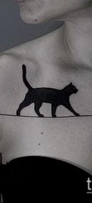 фото тату кот (значение) — пример интересного рисунка тату — 051 tatufoto.com