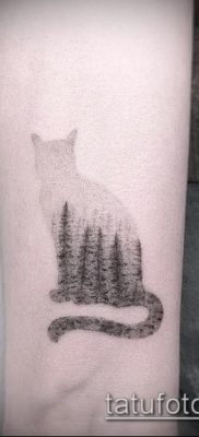 фото тату кот (значение) — пример интересного рисунка тату — 054 tatufoto.com