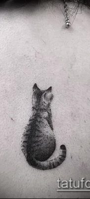 фото тату кот (значение) — пример интересного рисунка тату — 055 tatufoto.com