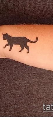 фото тату кот (значение) — пример интересного рисунка тату — 070 tatufoto.com