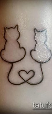 фото тату кот (значение) — пример интересного рисунка тату — 076 tatufoto.com