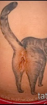 фото тату на животе (tattoo on her stomach) (значение) — пример рисунка — 006 tatufoto.com