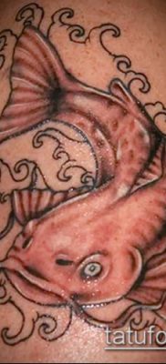 фото тату сом (catfish tattoo) (значение) — пример рисунка — 024 tatufoto.com
