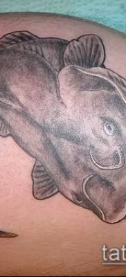 фото тату сом (catfish tattoo) (значение) — пример рисунка — 049 tatufoto.com