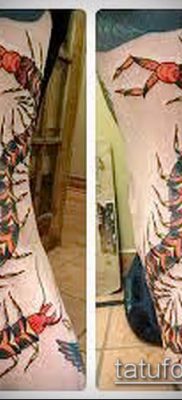 фото тату сороконожка (значение) — пример интересного рисунка тату — 047 tatufoto.com
