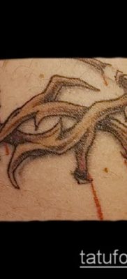 фото тату терновник (значение) — пример интересного рисунка тату — 040 tatufoto.com