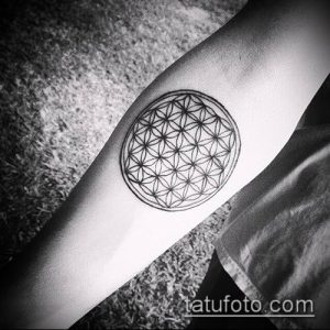 фото тату цветок жизни (Tattoo Flower of Li) (значение) - пример рисунка - 032 tatufoto.com