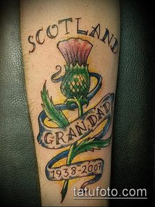 Фото татуировки чертополоха на предплечье с надписью 'SCOTLAND' и датами '1938-2007'. Цветной рисунок татуировки, выполненный в традиционном стиле.