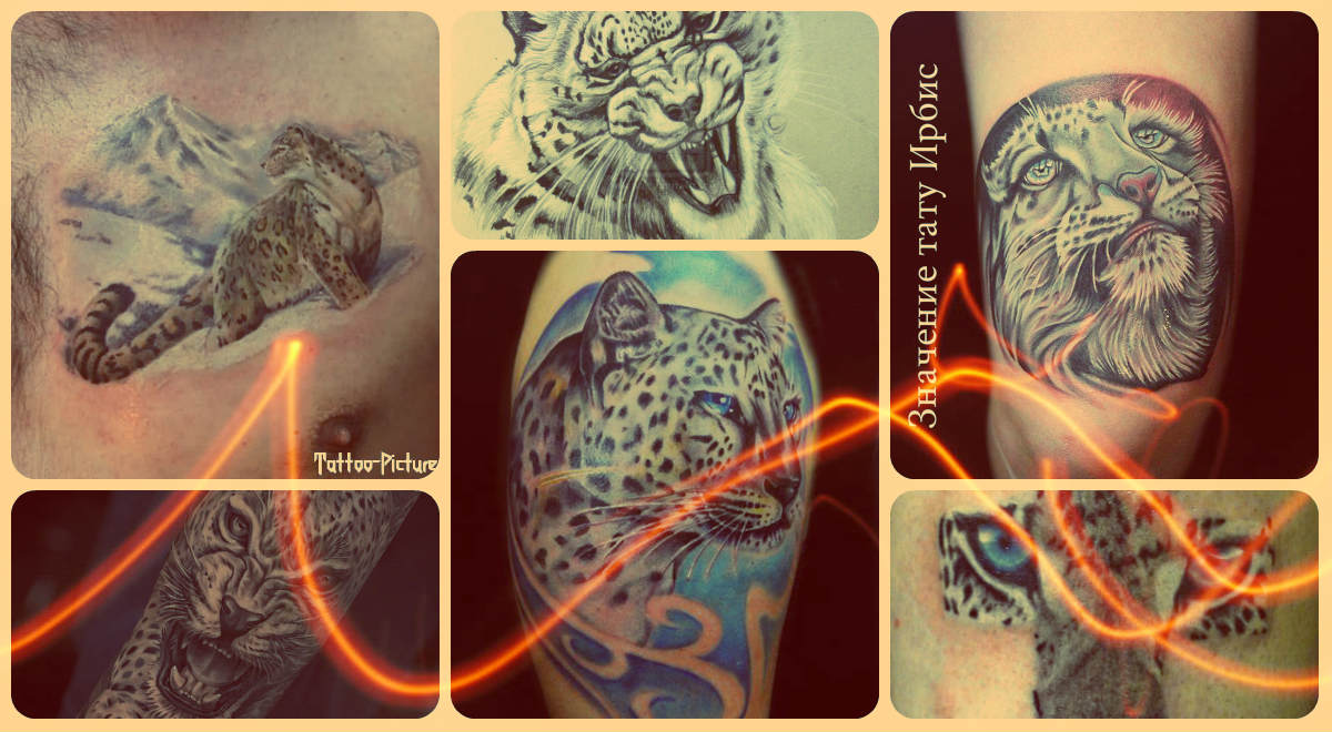 Значение тату ирбис - фото готовых татуировок - рисунки