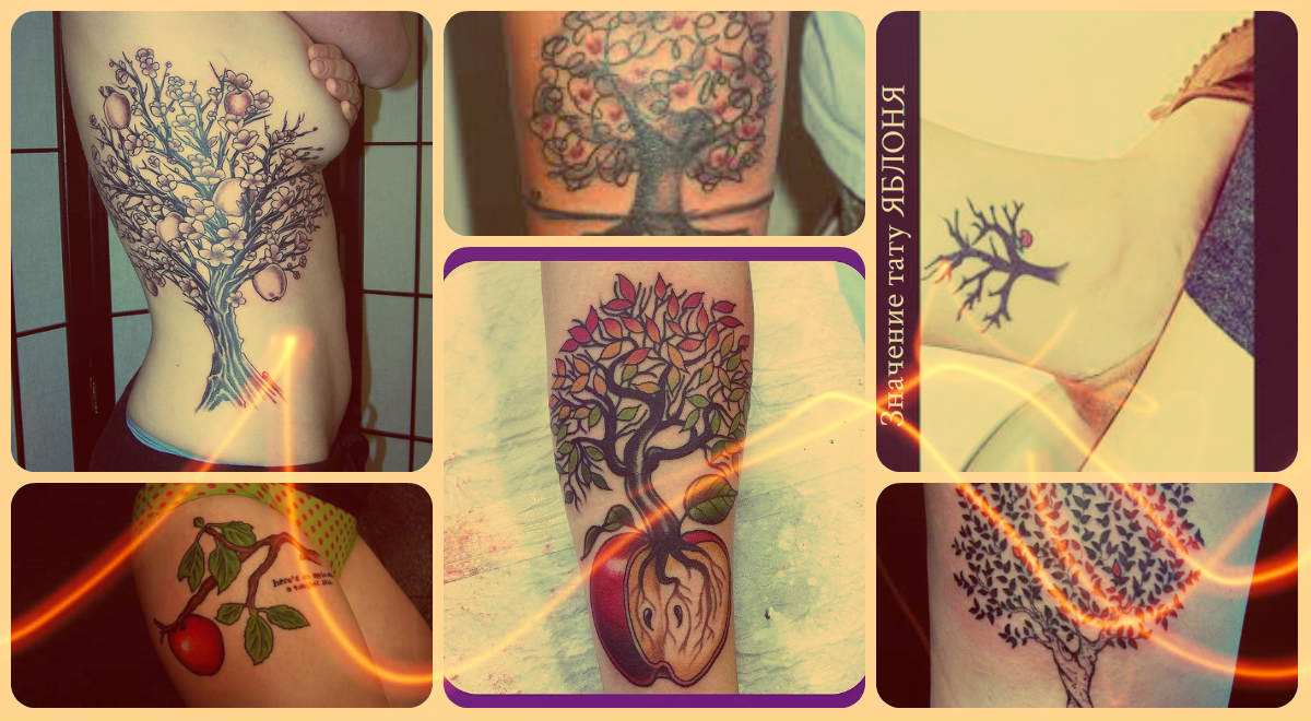 Значение тату яблоня - фото готовых татуировок - рисунки