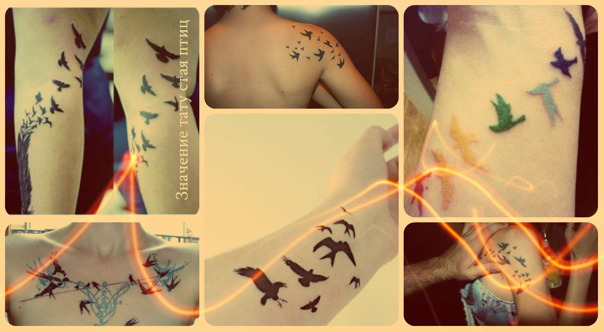 Значение тату стая птиц - примеры татуировок на фото - рисунки