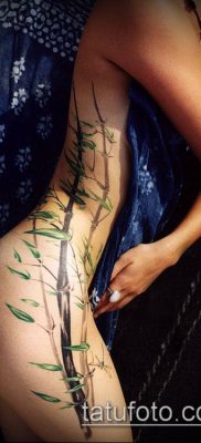 ТАТУИРОВКА БАМБУК №957 — интересный вариант рисунка, который хорошо можно использовать для переделки и нанесения как татуировка бамбук