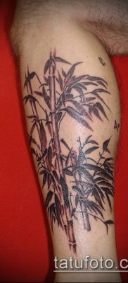 ТАТУИРОВКА БАМБУК №454 — уникальный вариант рисунка, который хорошо можно использовать для доработки и нанесения как татуировка бамбук на руке