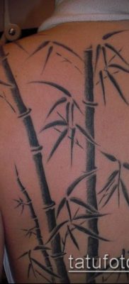 ТАТУИРОВКА БАМБУК №216 — крутой вариант рисунка, который удачно можно использовать для доработки и нанесения как татуировка бамбук на руке