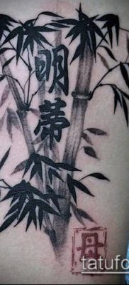 ТАТУИРОВКА БАМБУК №479 — крутой вариант рисунка, который легко можно использовать для переработки и нанесения как татуировка бамбук на руке
