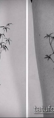 ТАТУИРОВКА БАМБУК №460 — достойный вариант рисунка, который легко можно использовать для переработки и нанесения как татуировка бамбук на руке