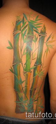 ТАТУИРОВКА БАМБУК №164 — крутой вариант рисунка, который успешно можно использовать для переделки и нанесения как татуировка бамбук