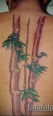 ТАТУИРОВКА БАМБУК №20 — классный вариант рисунка, который хорошо можно использовать для преобразования и нанесения как татуировка бамбук