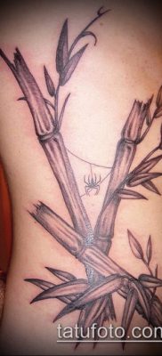 ТАТУИРОВКА БАМБУК №389 — достойный вариант рисунка, который успешно можно использовать для переделки и нанесения как татуировка бамбук на руке
