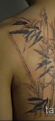 ТАТУИРОВКА БАМБУК №993 — классный вариант рисунка, который успешно можно использовать для доработки и нанесения как татуировка бамбук