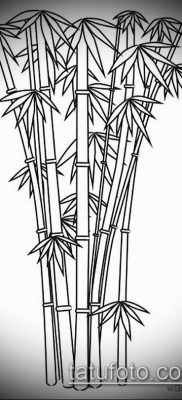 ТАТУИРОВКА БАМБУК №656 — достойный вариант рисунка, который успешно можно использовать для переделки и нанесения как татуировка бамбук