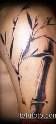 ТАТУИРОВКА БАМБУК №248 — прикольный вариант рисунка, который удачно можно использовать для преобразования и нанесения как татуировка бамбук