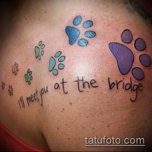 Фото тату на лопатке: разноцветные следы лап, ведущие к надписи 'I'll meet you at the bridge'. Нежная и трогательная татуировка в память о любимом животном.
