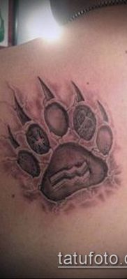 ТАТУИРОВКА ЛАПА №732 — уникальный вариант рисунка, который успешно можно использовать для переработки и нанесения как татуировка лапа кошки