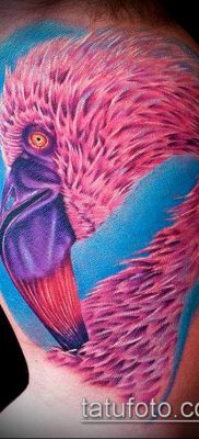 ТАТУИРОВКА ФЛАМИНГО №168 — классный вариант рисунка, который удачно можно использовать для преобразования и нанесения как татуировка фламинго