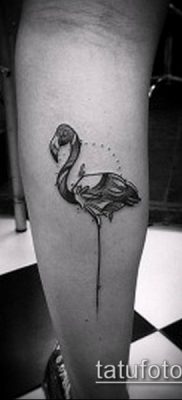 ТАТУИРОВКА ФЛАМИНГО №542 — эксклюзивный вариант рисунка, который успешно можно использовать для преобразования и нанесения как татуировка фламинго на ноге