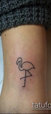 ТАТУИРОВКА ФЛАМИНГО №232 — крутой вариант рисунка, который хорошо можно использовать для преобразования и нанесения как татуировка фламинго на ноге
