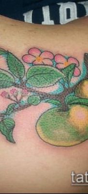 ТАТУИРОВКА ЯБЛОНЯ №781 — интересный вариант рисунка, который легко можно использовать для переработки и нанесения как тату яблоня