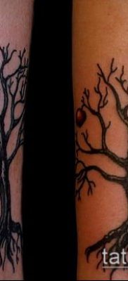 ТАТУИРОВКА ЯБЛОНЯ №554 — уникальный вариант рисунка, который хорошо можно использовать для переделки и нанесения как татуировка яблоня