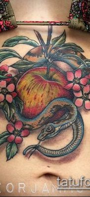 ТАТУИРОВКА ЯБЛОНЯ №553 — интересный вариант рисунка, который легко можно использовать для доработки и нанесения как татуировка яблоня