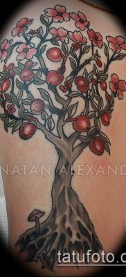 ТАТУИРОВКА ЯБЛОНЯ №781 — прикольный вариант рисунка, который хорошо можно использовать для преобразования и нанесения как татуировка яблоня