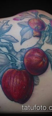 ТАТУИРОВКА ЯБЛОНЯ №198 — эксклюзивный вариант рисунка, который хорошо можно использовать для переработки и нанесения как тату яблоня