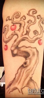 ТАТУИРОВКА ЯБЛОНЯ №159 — интересный вариант рисунка, который хорошо можно использовать для переработки и нанесения как татуировка яблоня