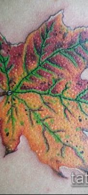 дубовые листья тату №826 — классный вариант рисунка, который легко можно использовать для преобразования и нанесения как дубовые листья тату на